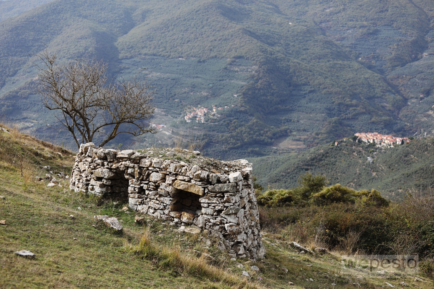 I Paesaggi delle Caselle 2026