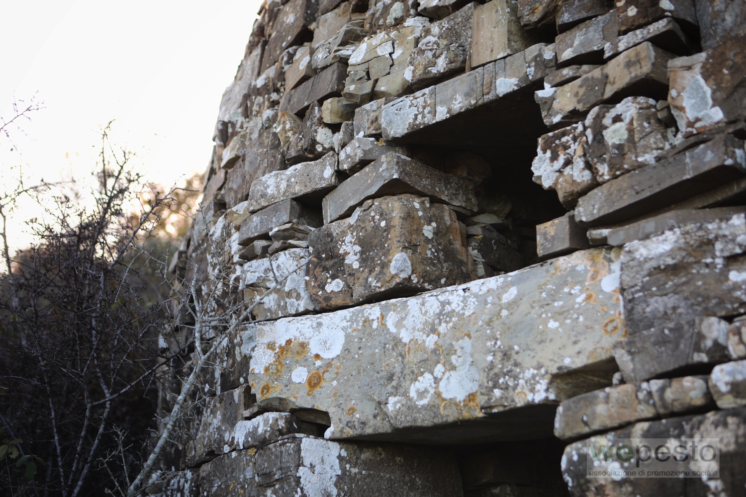 I Paesaggi delle Caselle 2026